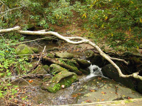 creek_along_nat.trail8